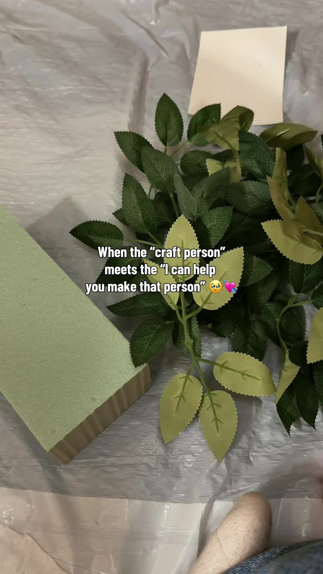 @Alma🦋🤍
