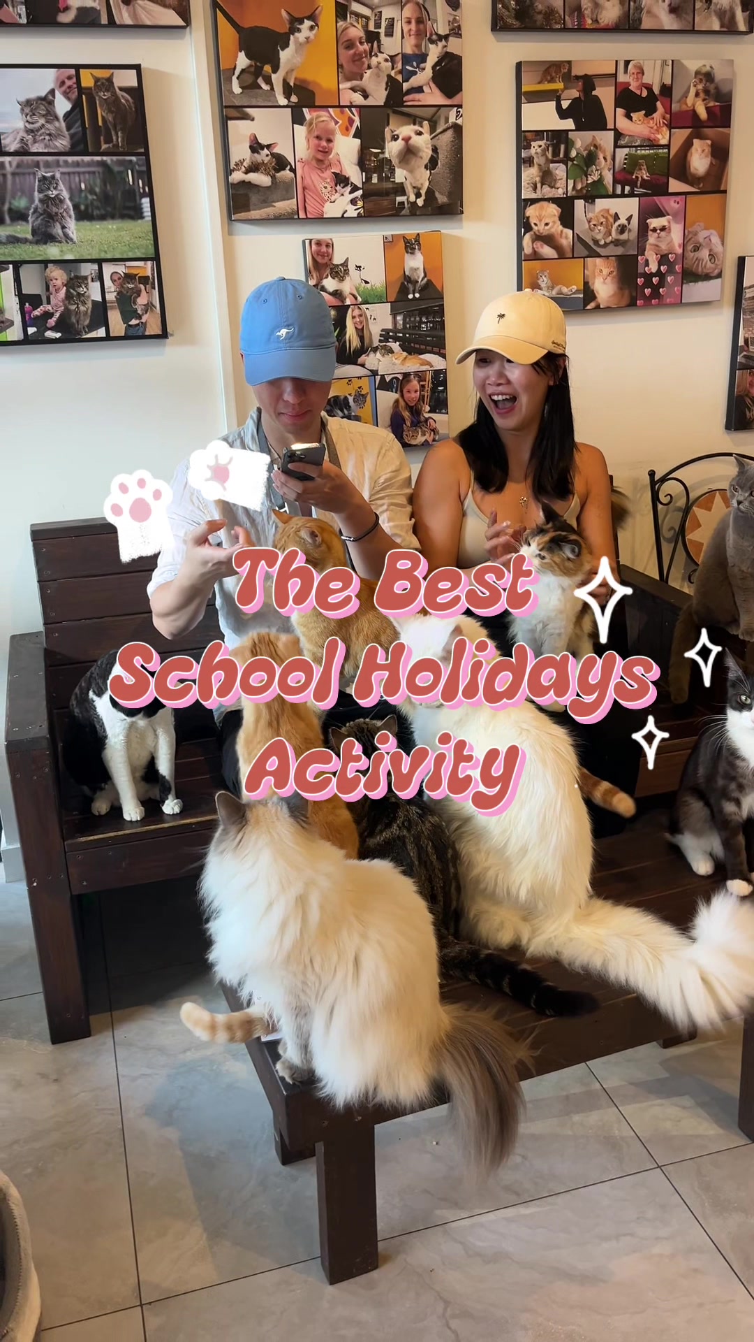 @crazycatcafe