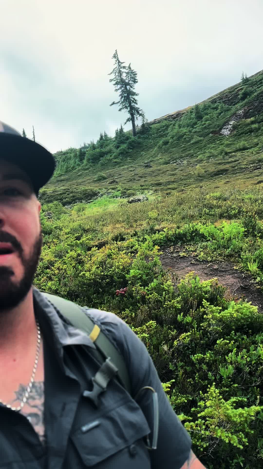 @🌲 James | WA 🏔️