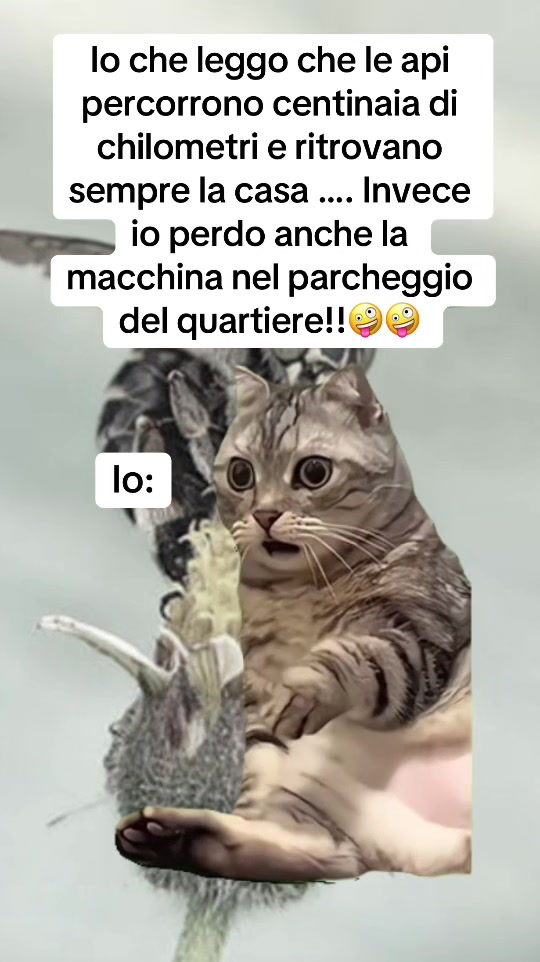 @LOLSempre😜😜