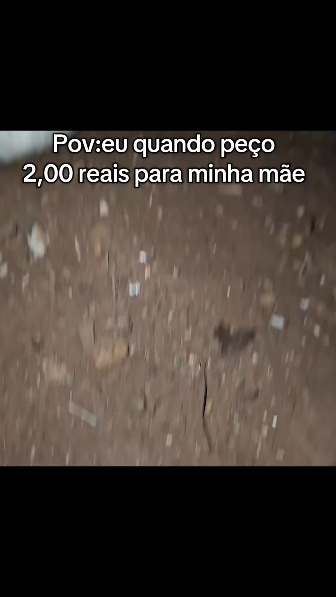 @weslexxy🍁