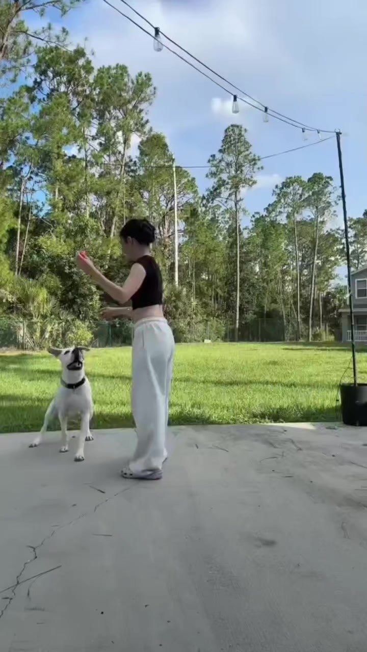 @💗