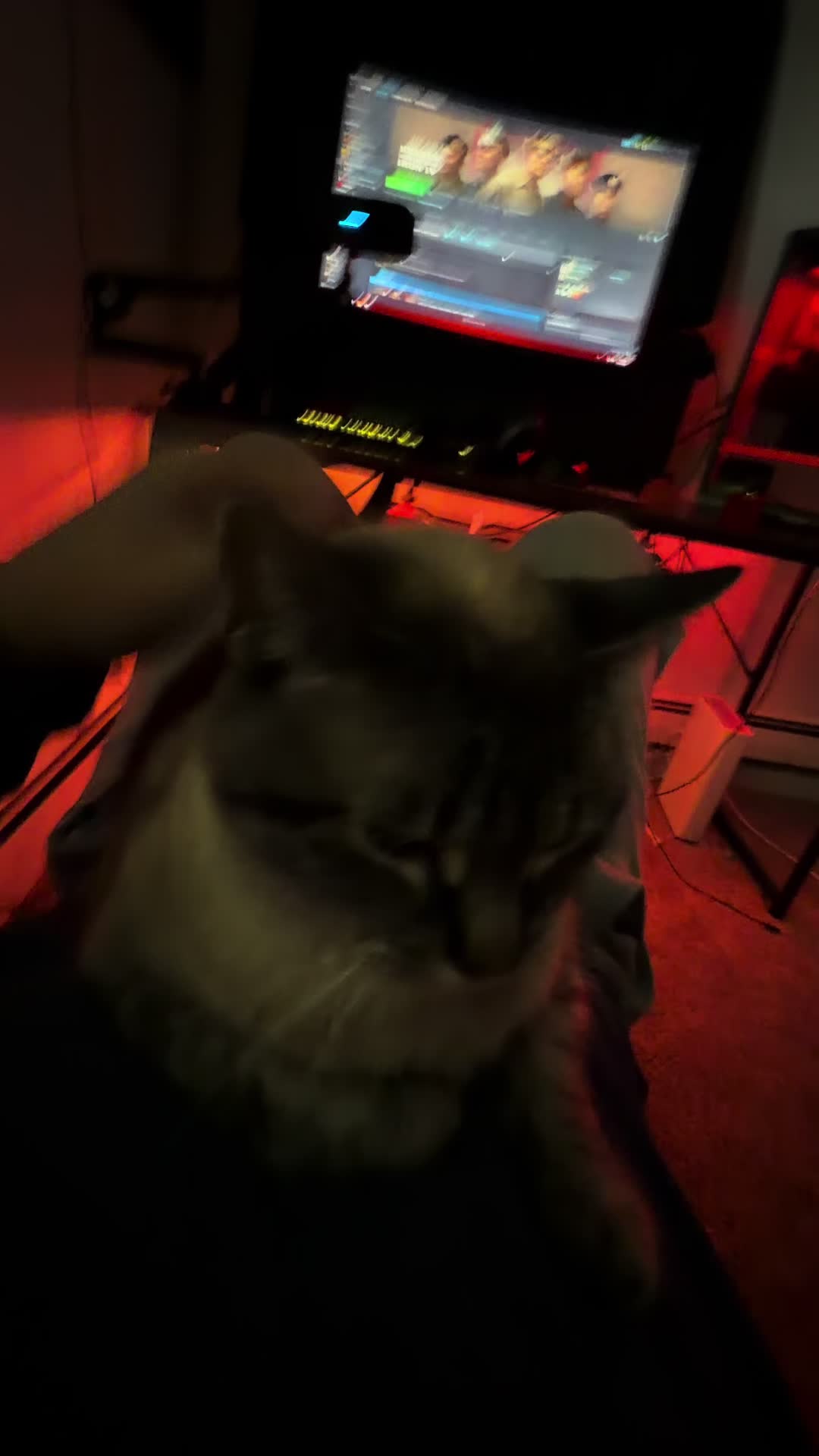 @PepperTheCat