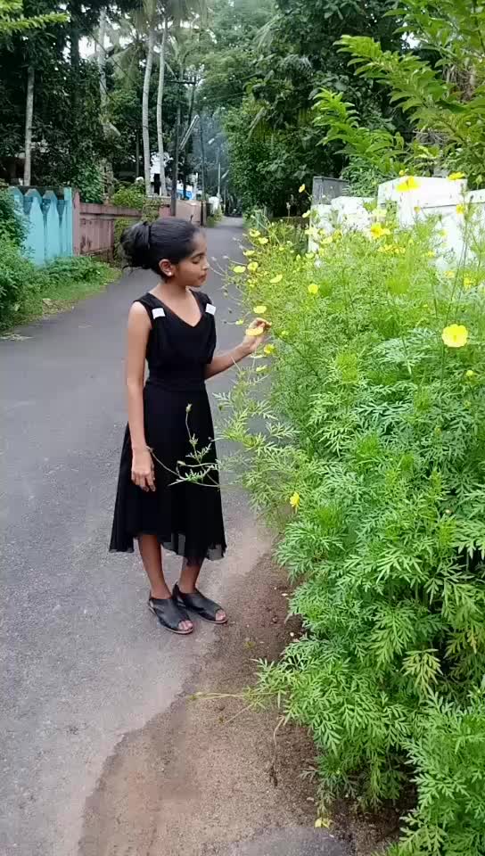 @Sera Jose