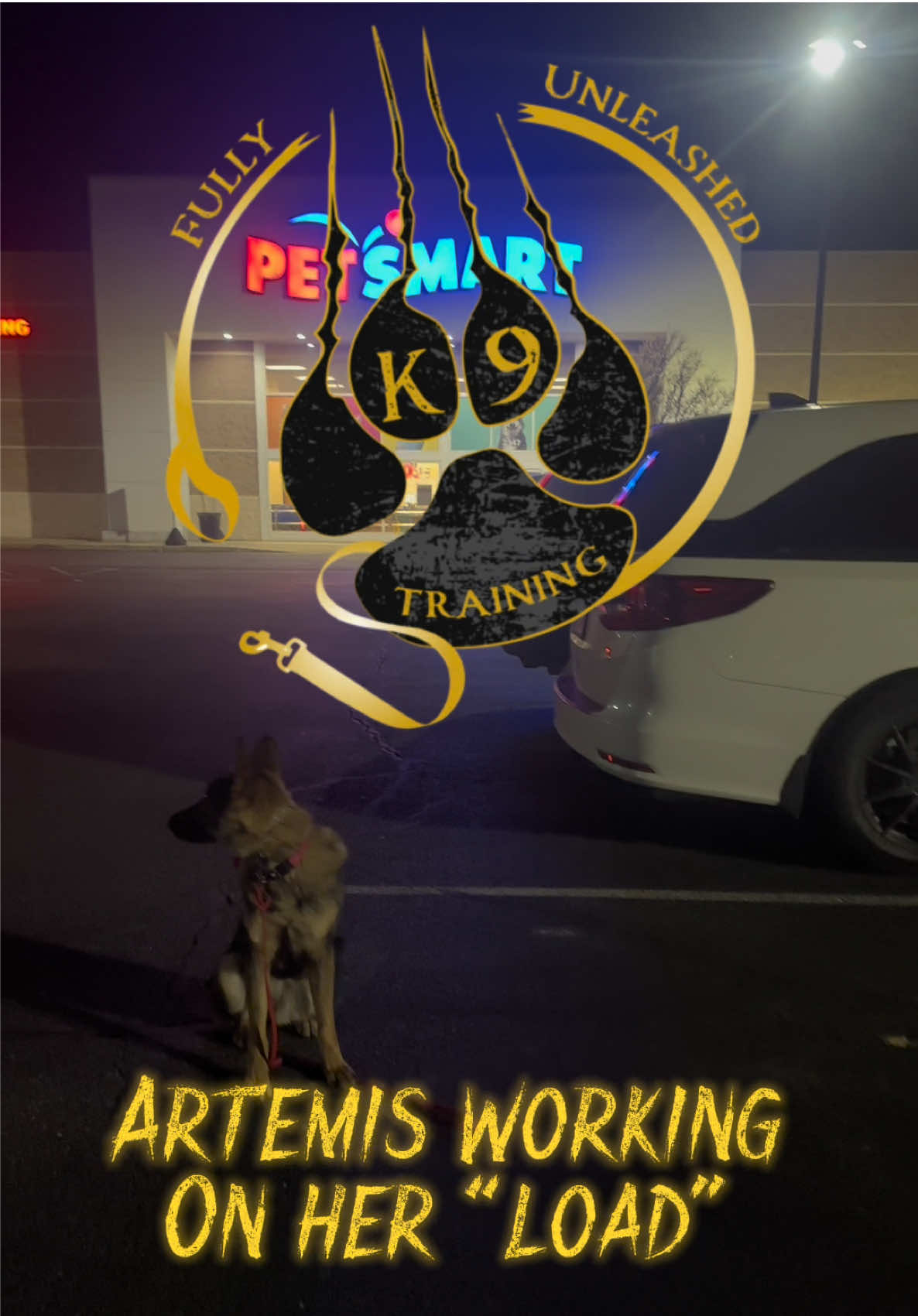 @Fully Unleashed K9 Training