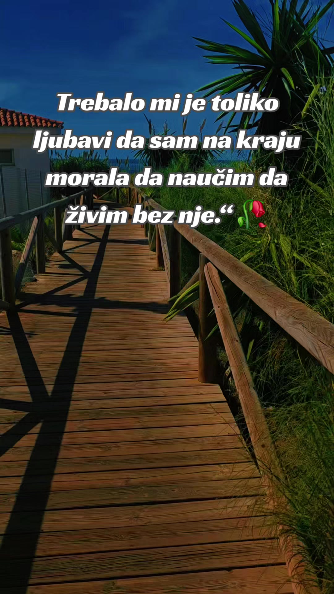@🏅solo igračica✈️ ⭐️ ®️