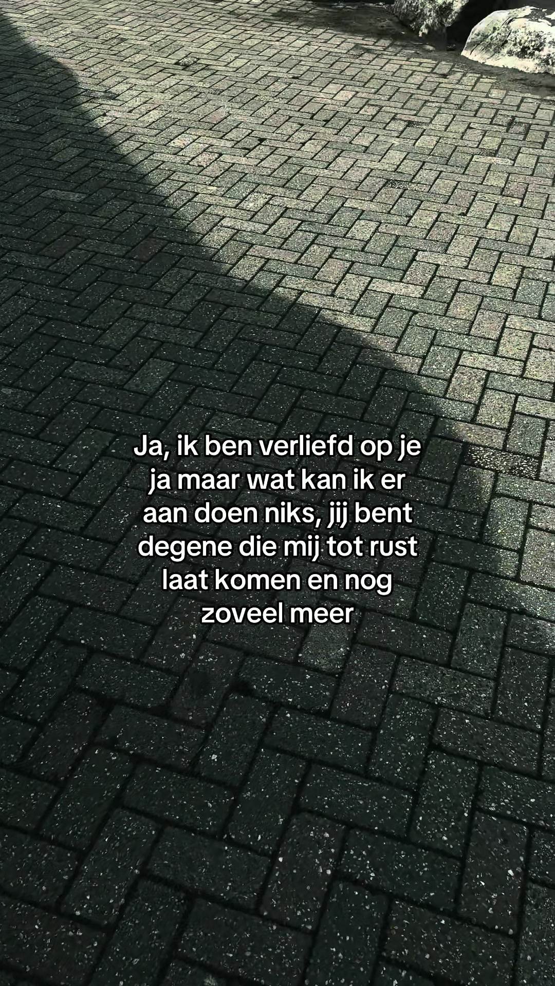 @arjen.trp