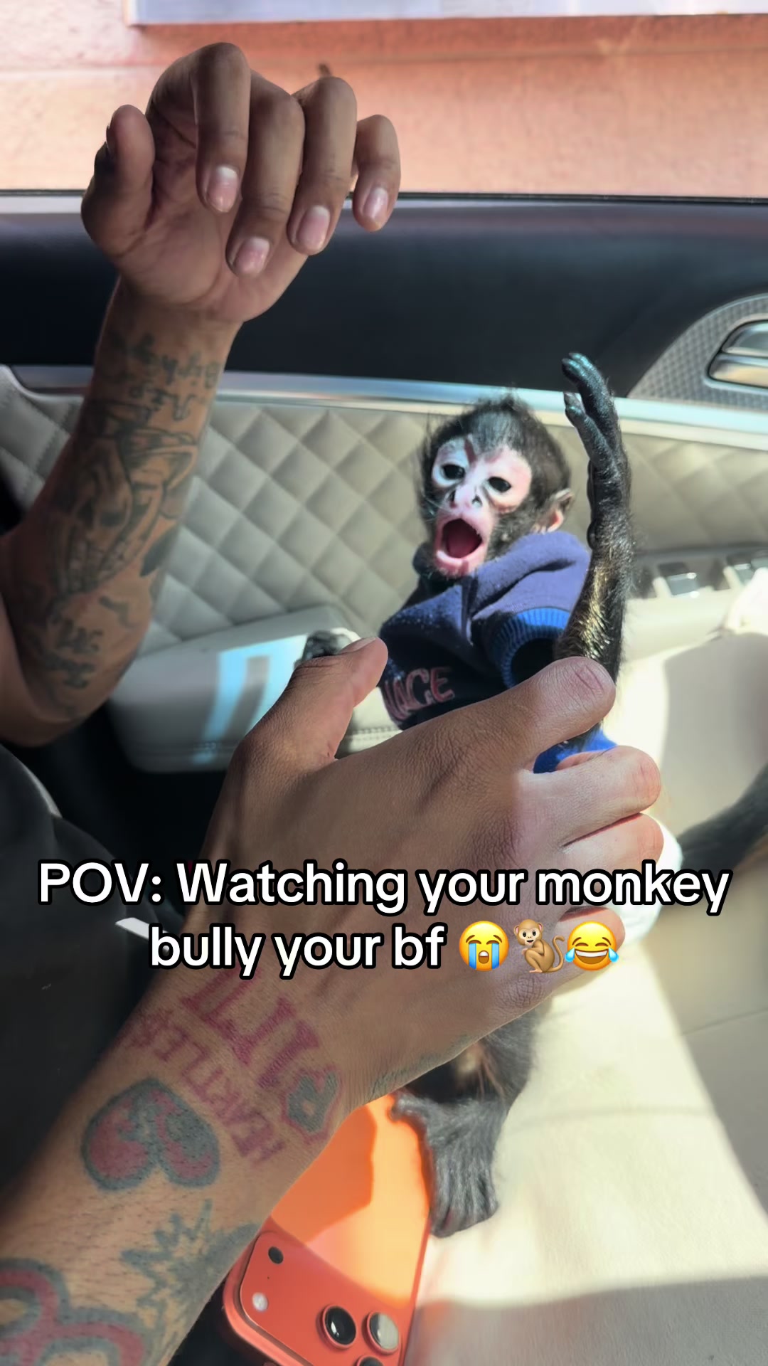 @OJTV & Mojo Jojo🧡