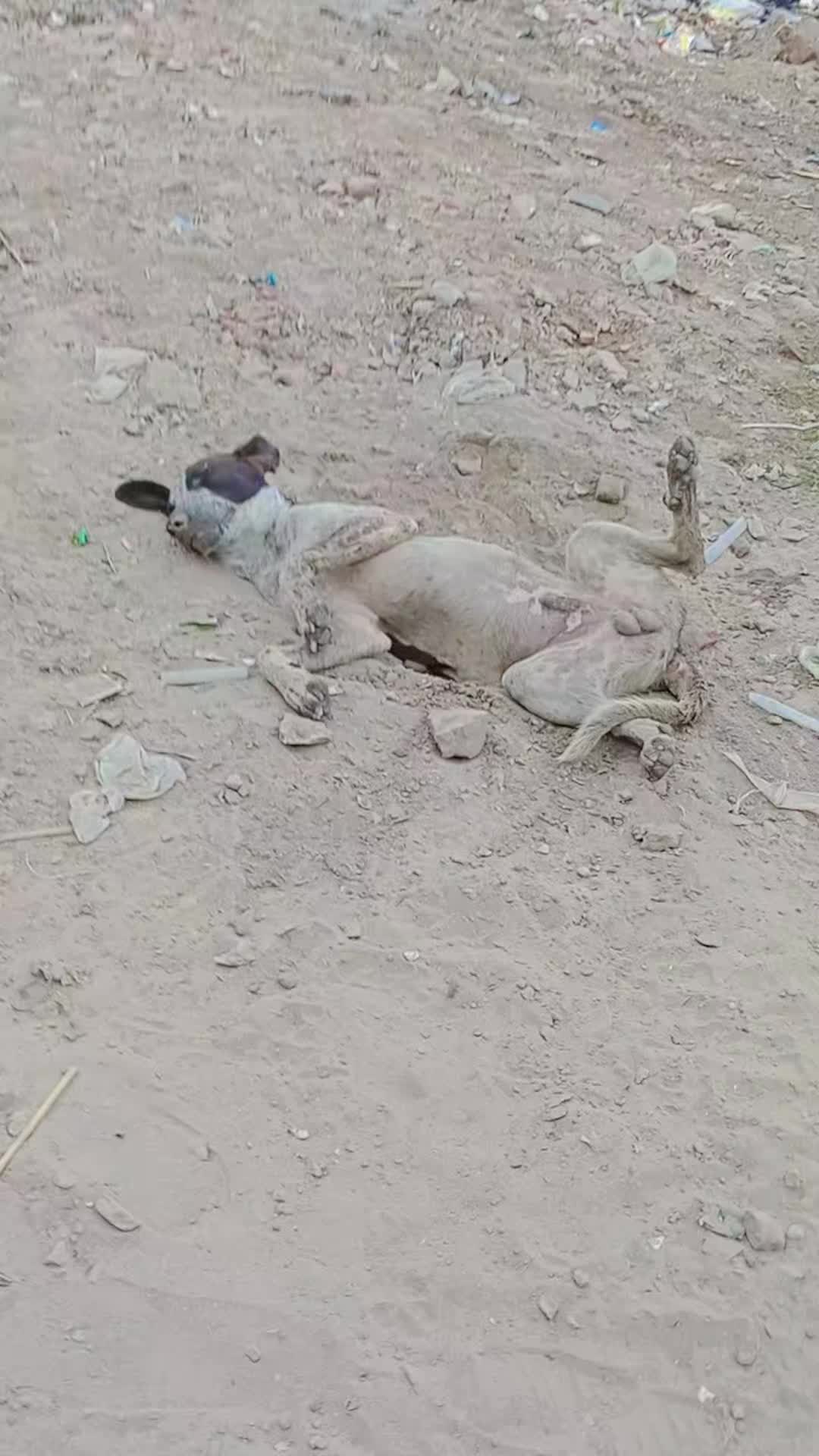 @๐ฅ๐
.๐
ง_๐
๐
-๐
_๐
-๐
๐