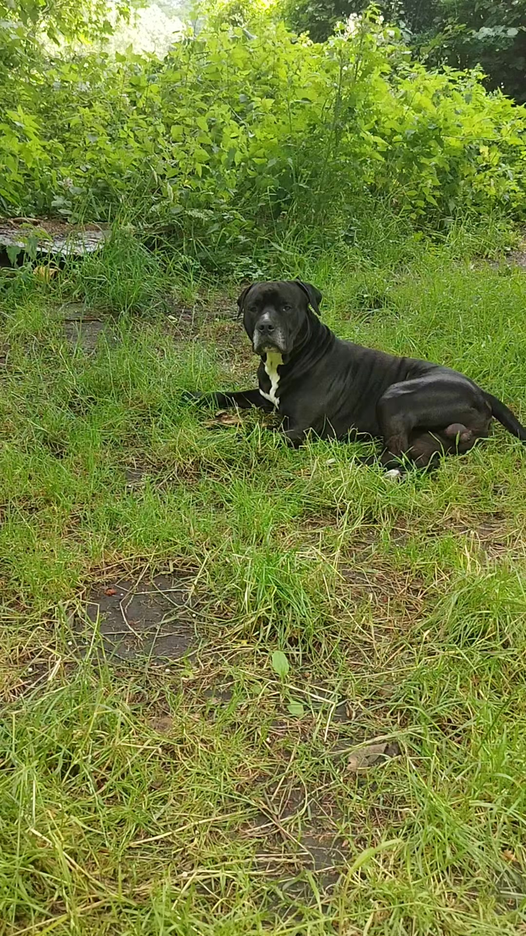 @Papy tataff🐾
