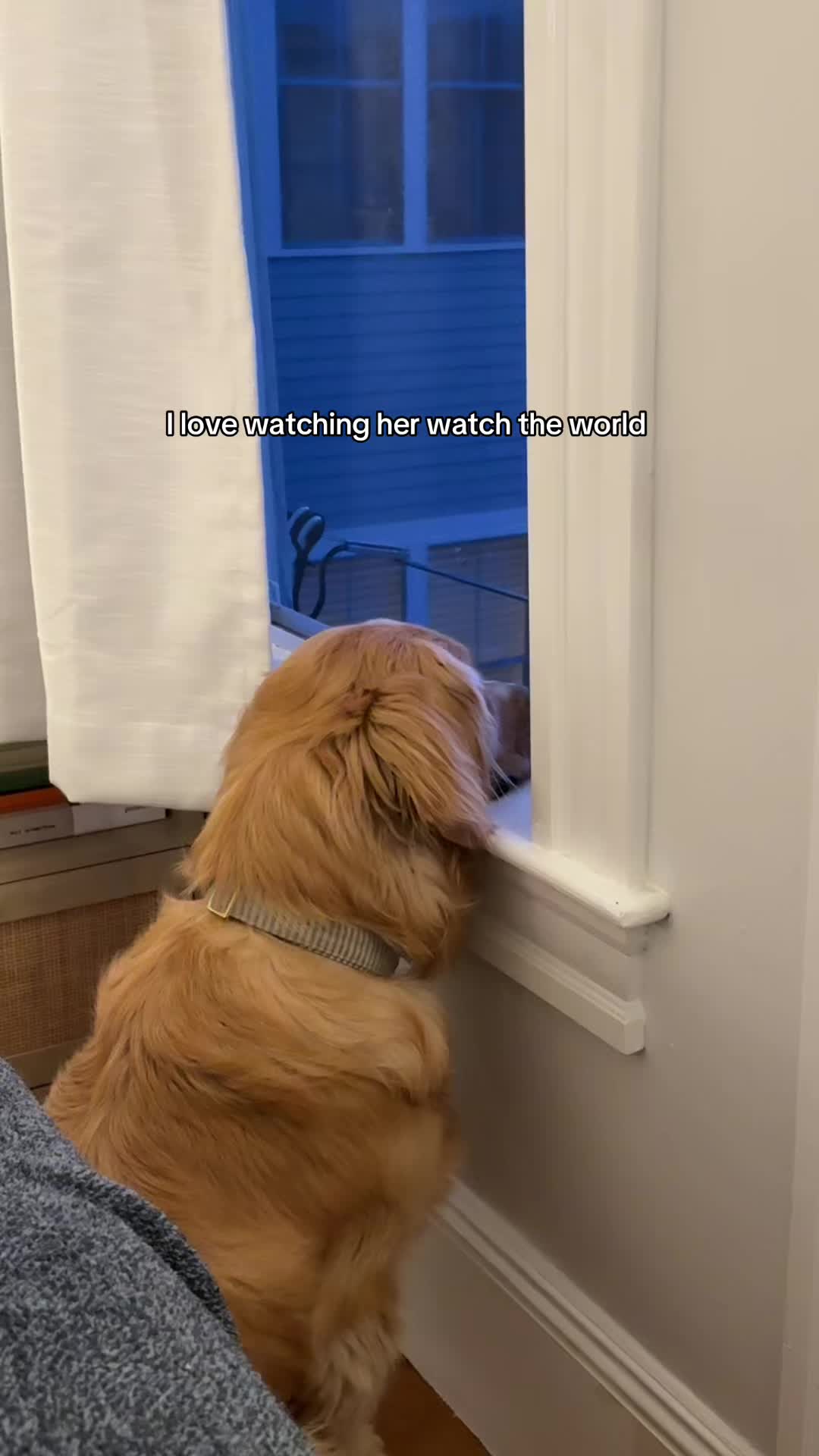 @Winter the Golden