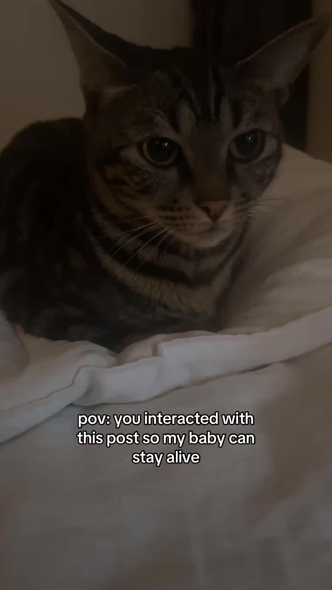 @Olivia