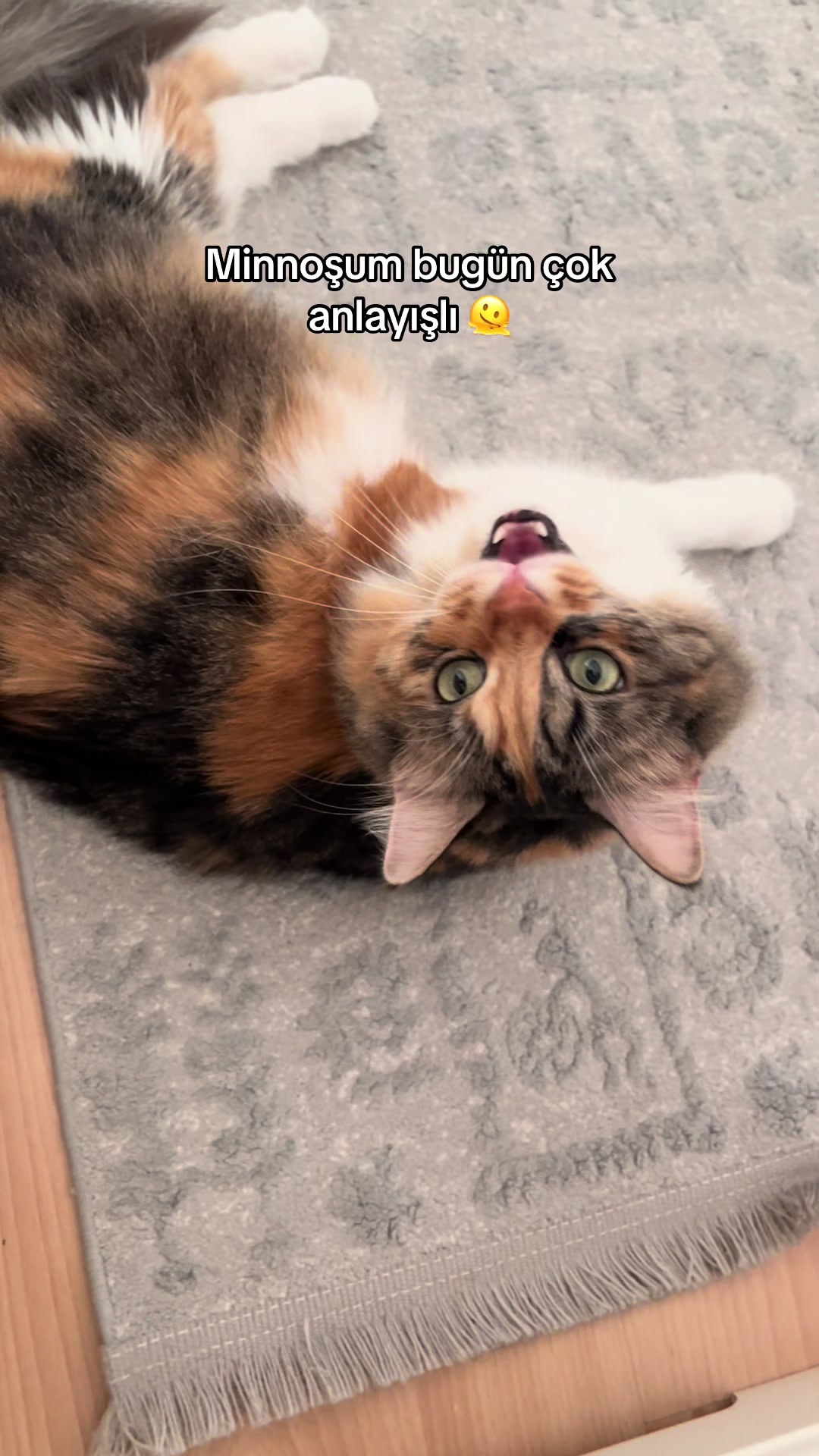@konusankediminnos