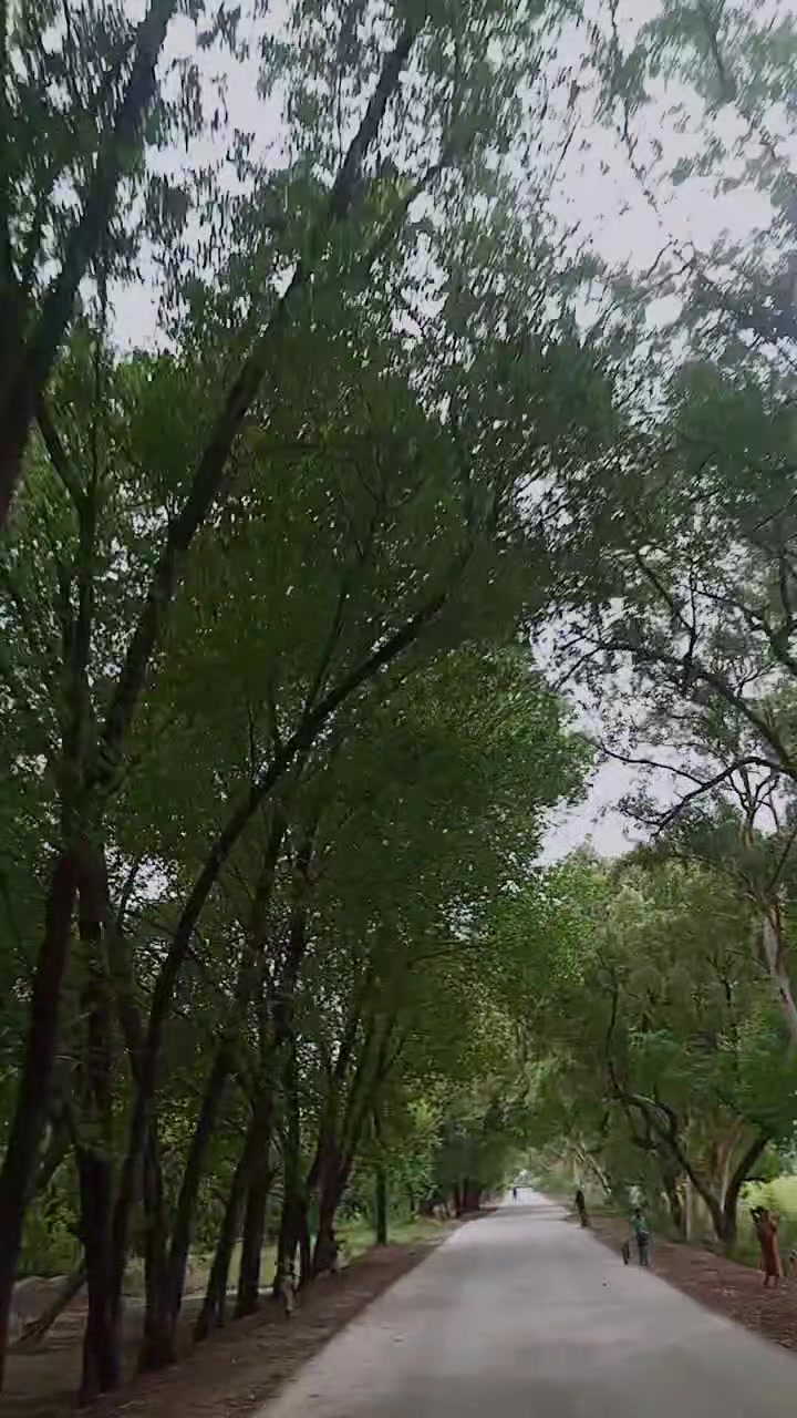 @📽📽🎥🎥👈👈👈👈راج ٺاڪور🥀🥀