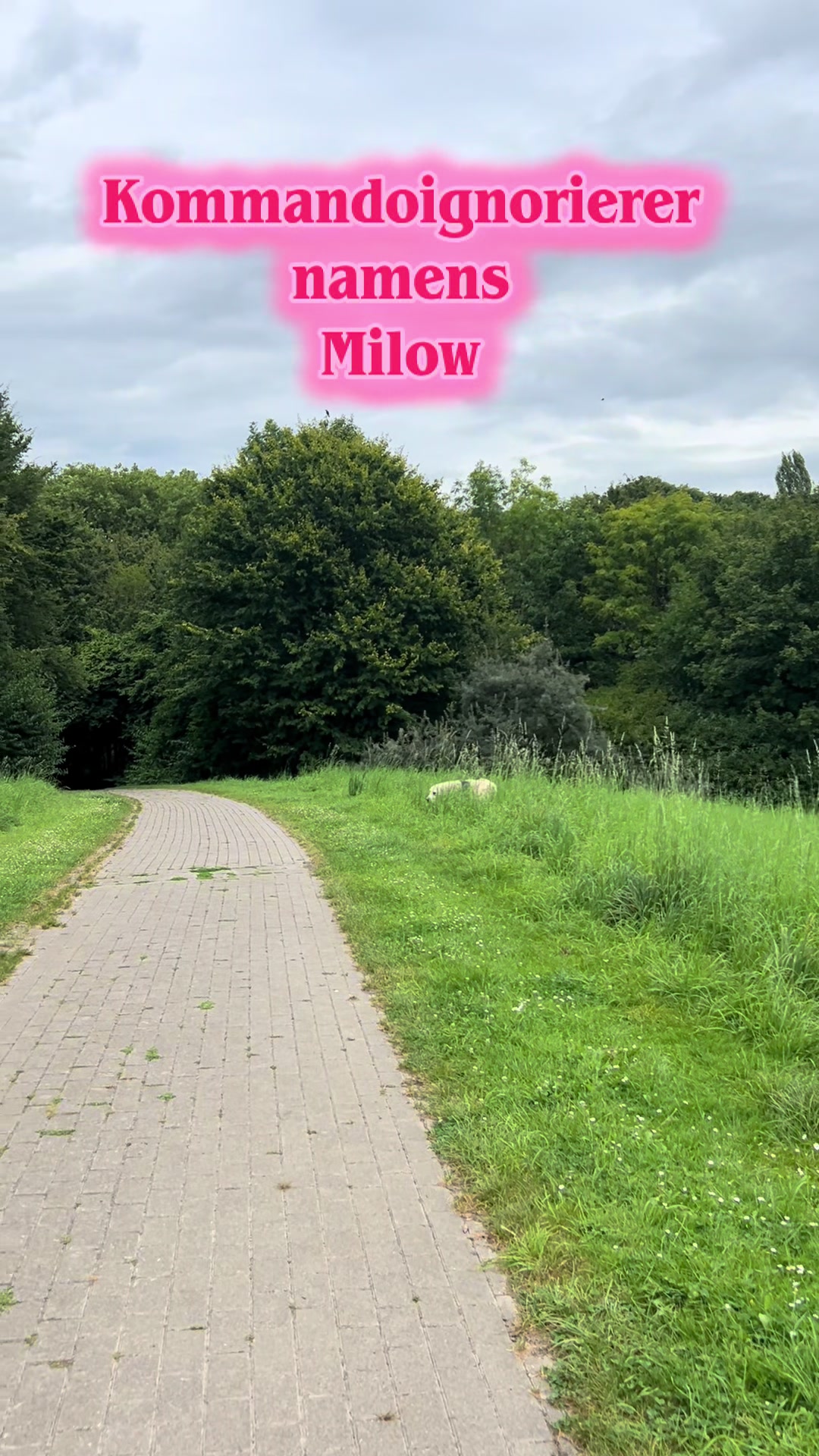 @Milow ❤️