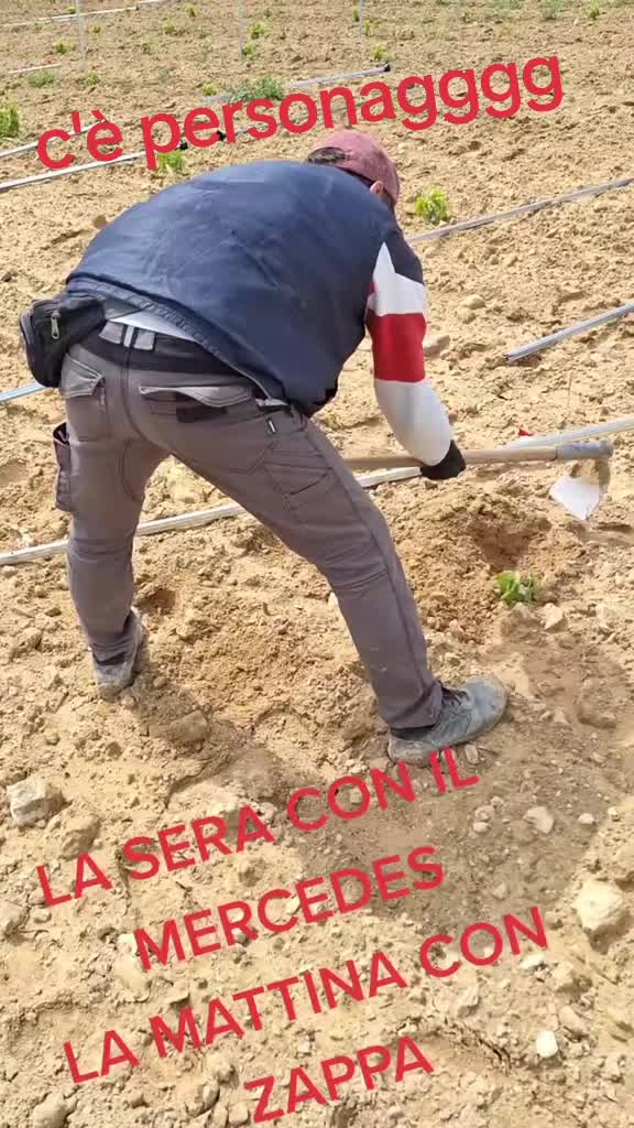 @mikeledebonis