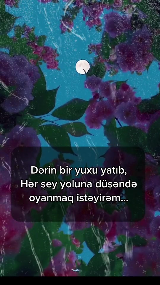 @Nur Şahgəldi