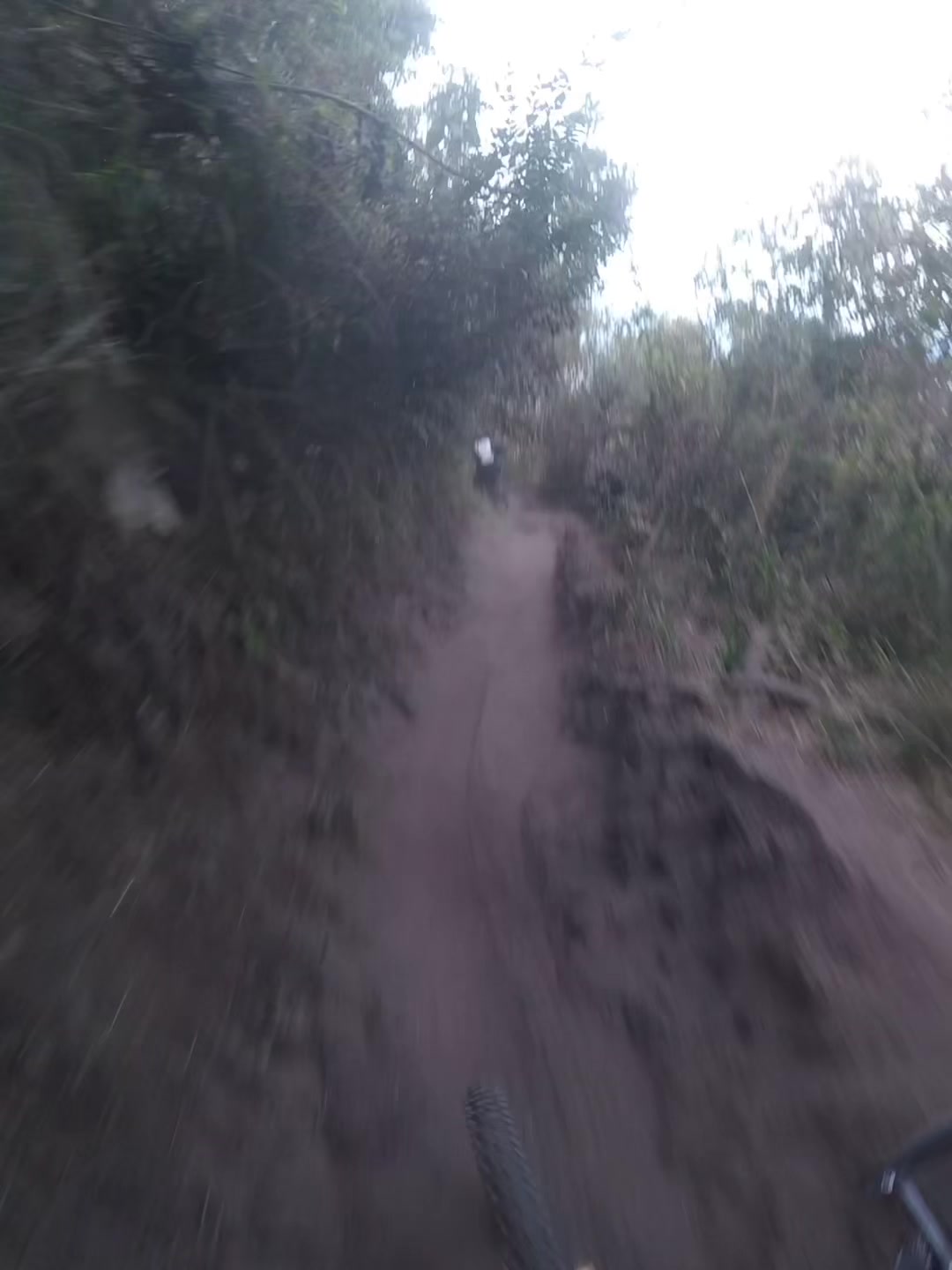 @Mateo Peñaloza