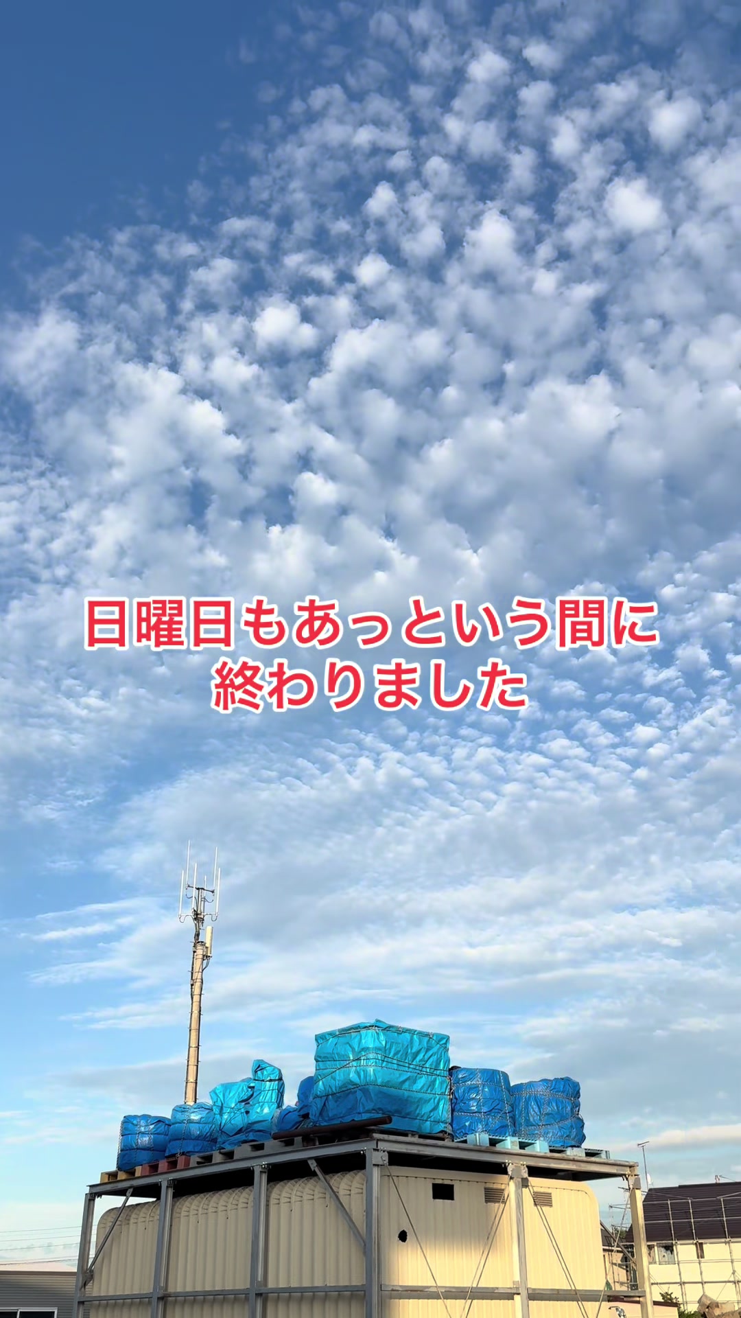 @🌸北のカリスマ桜丸🌸