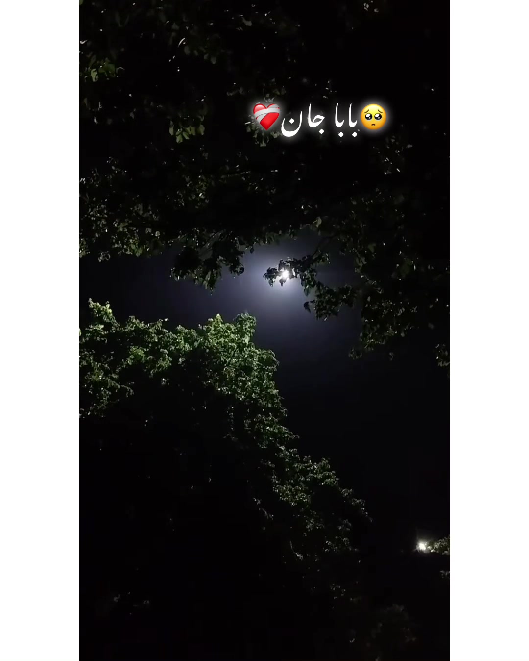 @⚜️𝐊𝐇𝐎𝐊𝐇𝐀𝐑❤️🩹