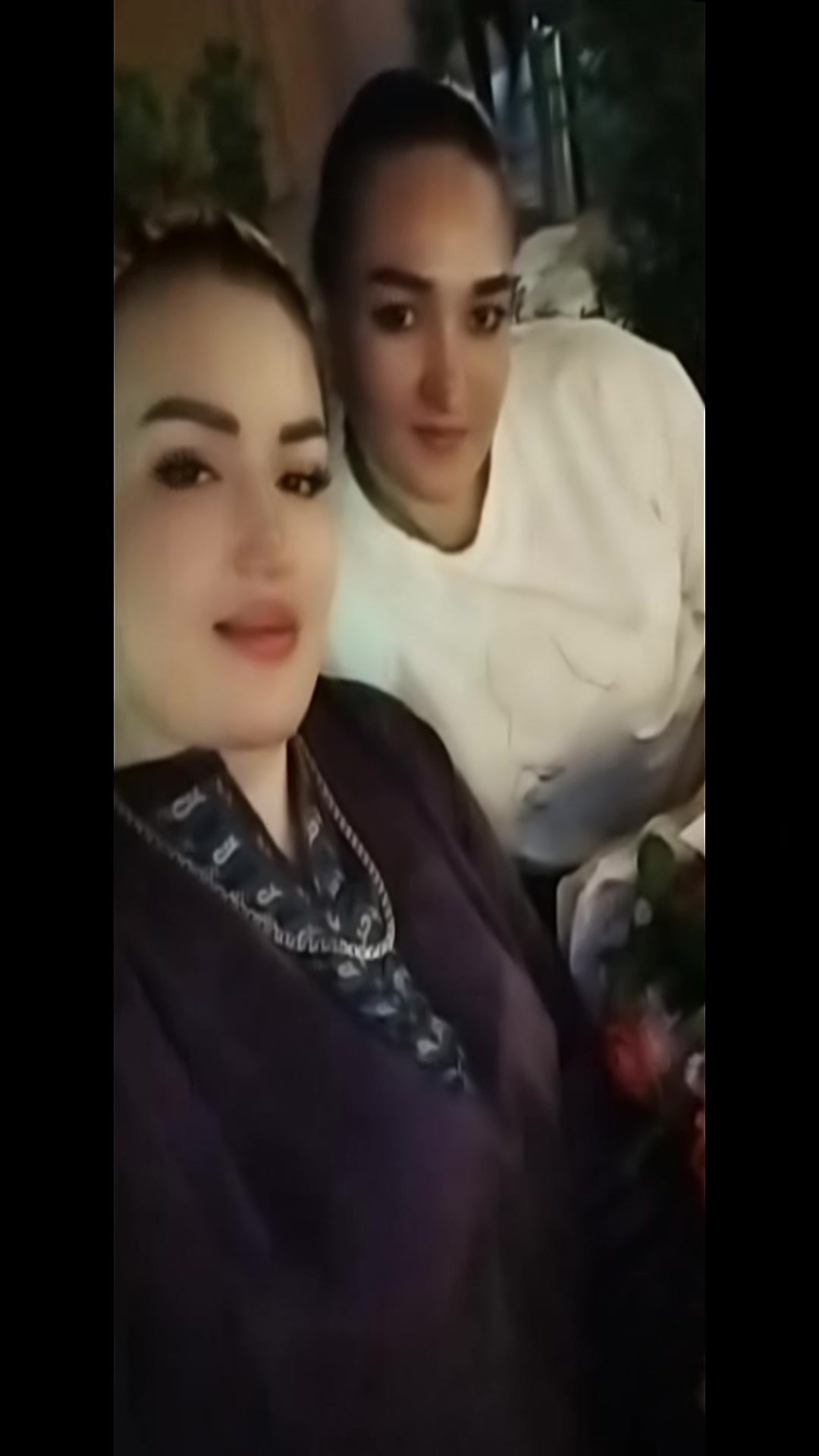 @Elvanimm