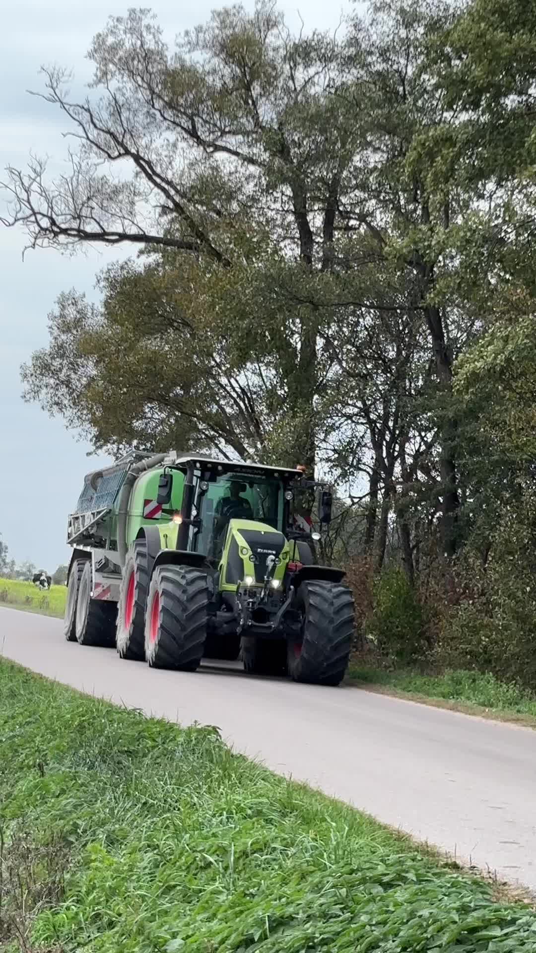 @𝐌𝐢𝐜𝐡𝐚𝐬ツ