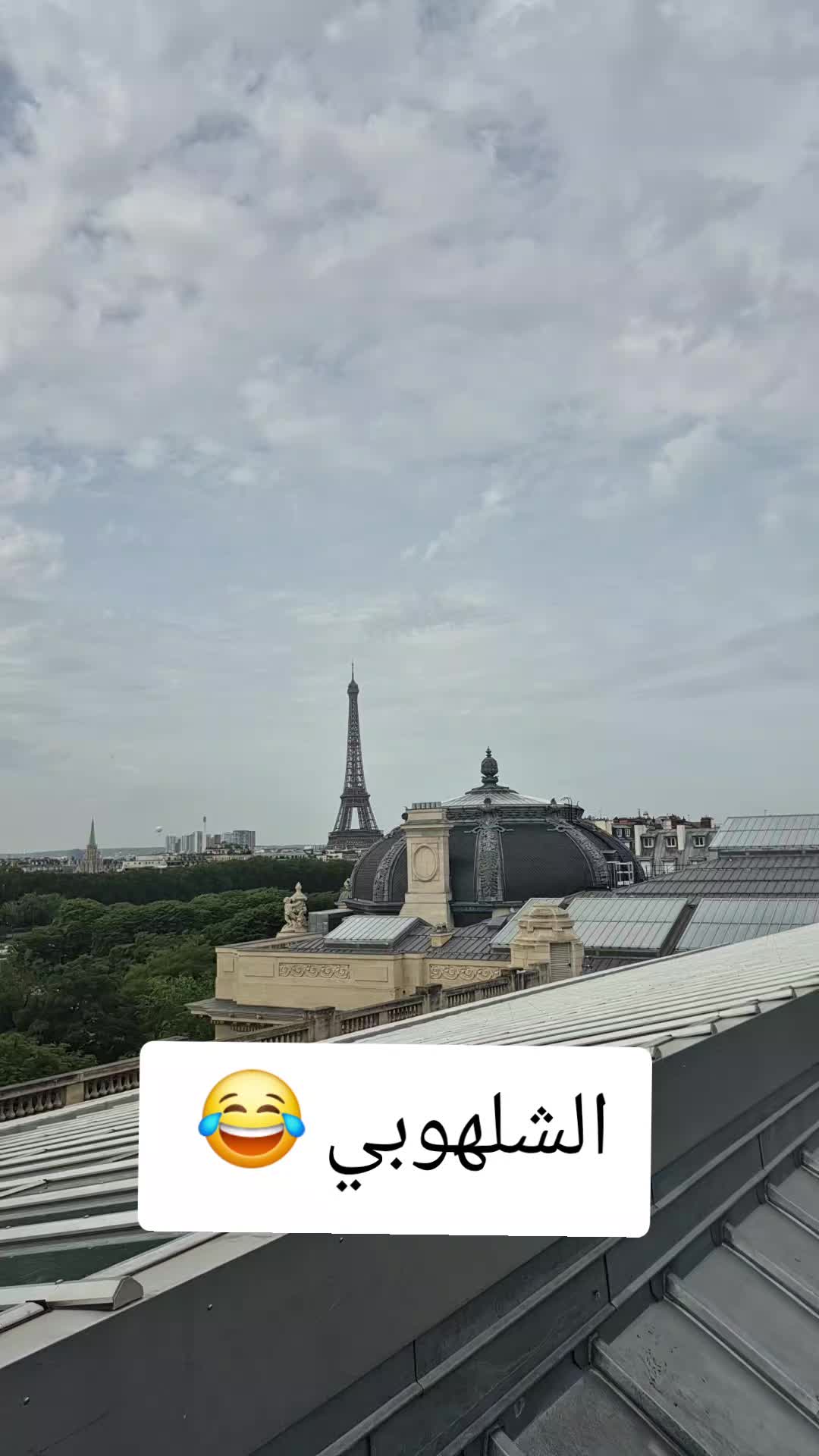 @DZ LGHORBA 🇩🇿❤️🇨🇵