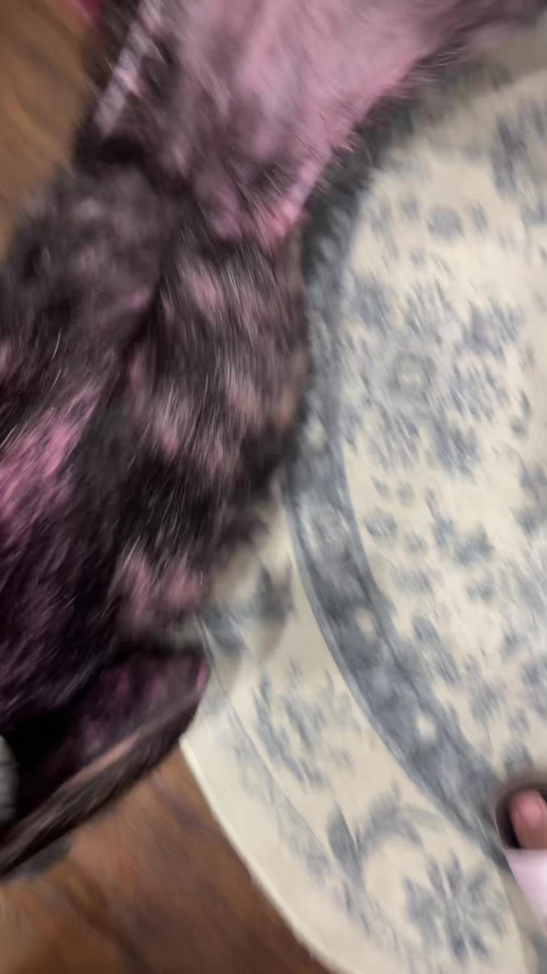 @sydneeecheleurmom