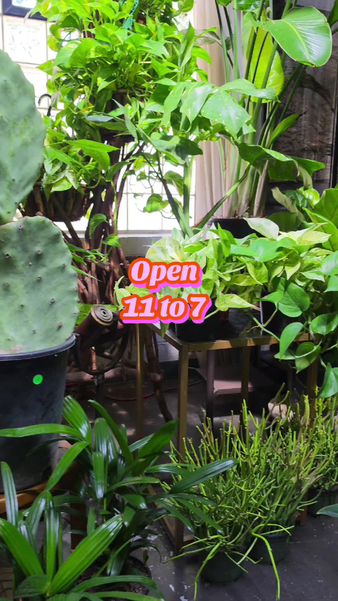 @energygardens