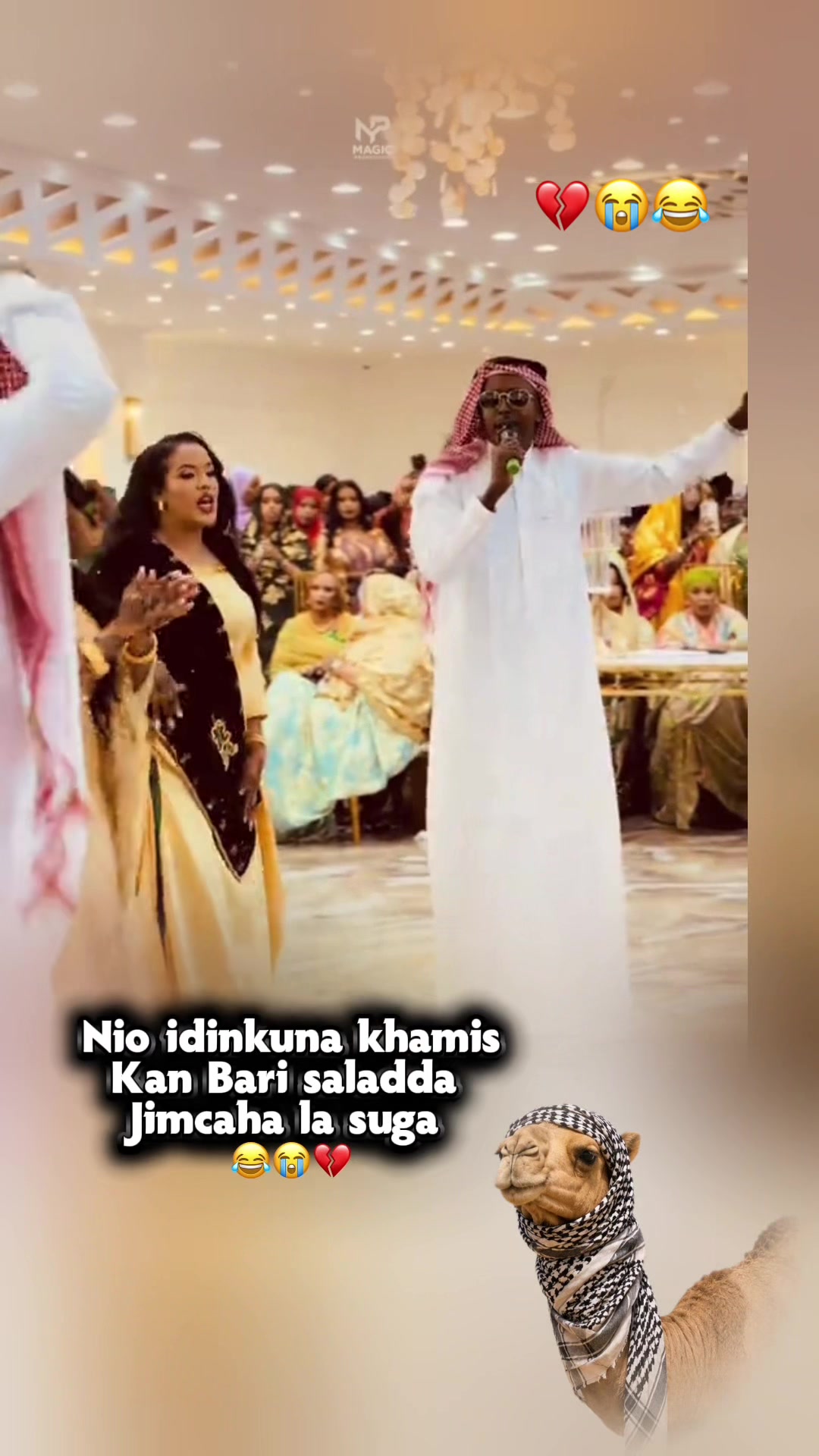 @༆AMAAL MUSE BIHI༆