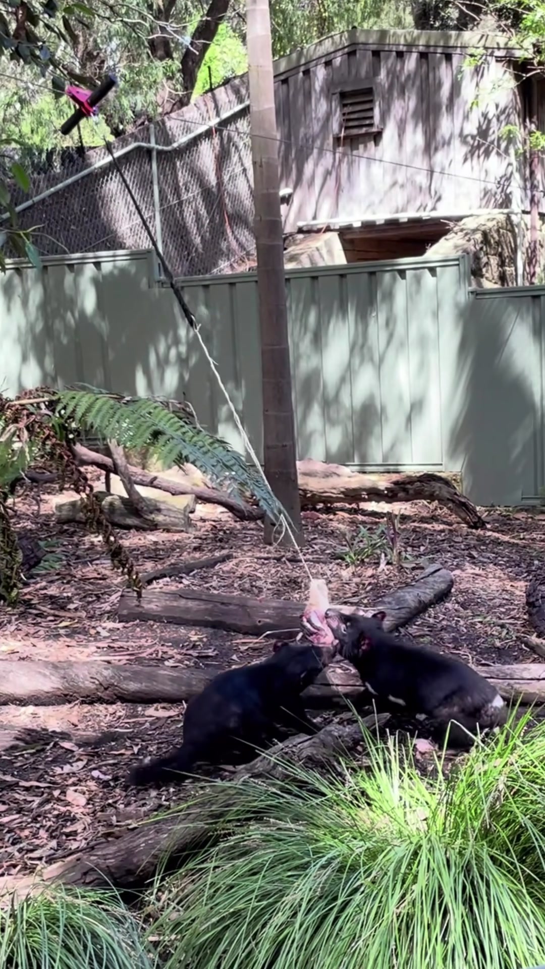@Perth Zoo