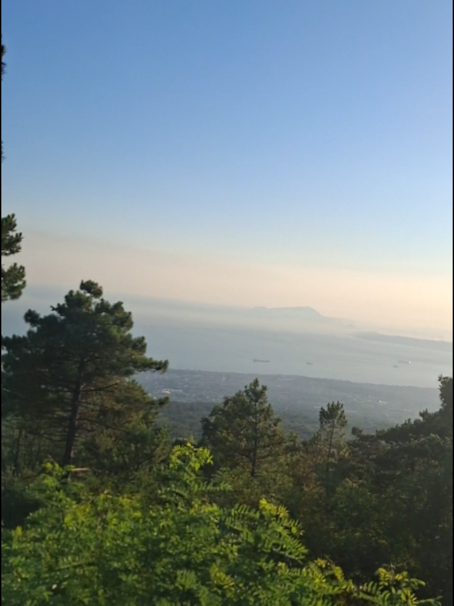 @Ridjan Markeçi🇦🇱🇮🇹🇨🇵🇨🇭