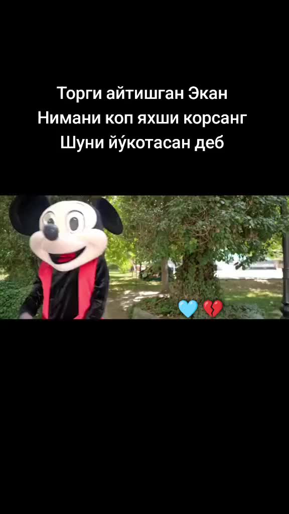 @๐บ๐๐๐๐๐๐๐๐๐ ๐ฉต