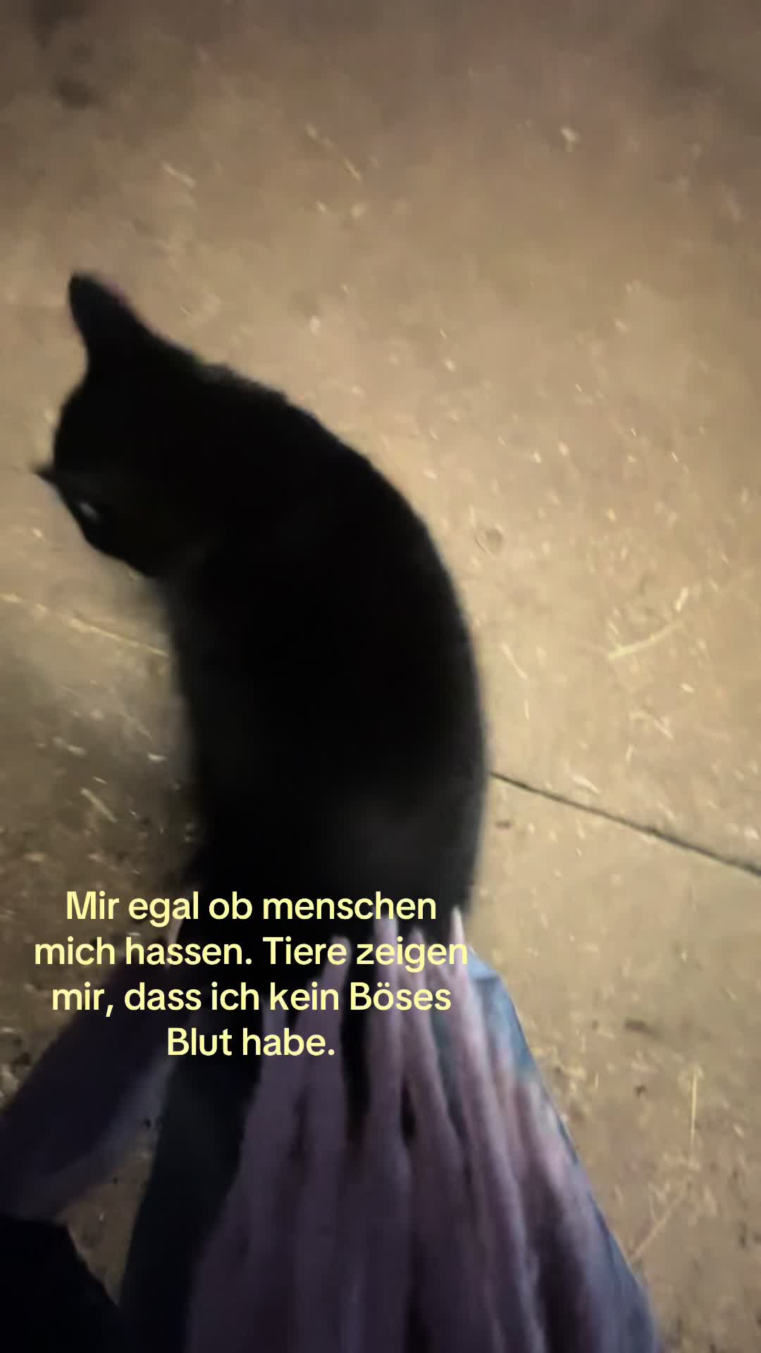 @melinaprvt4