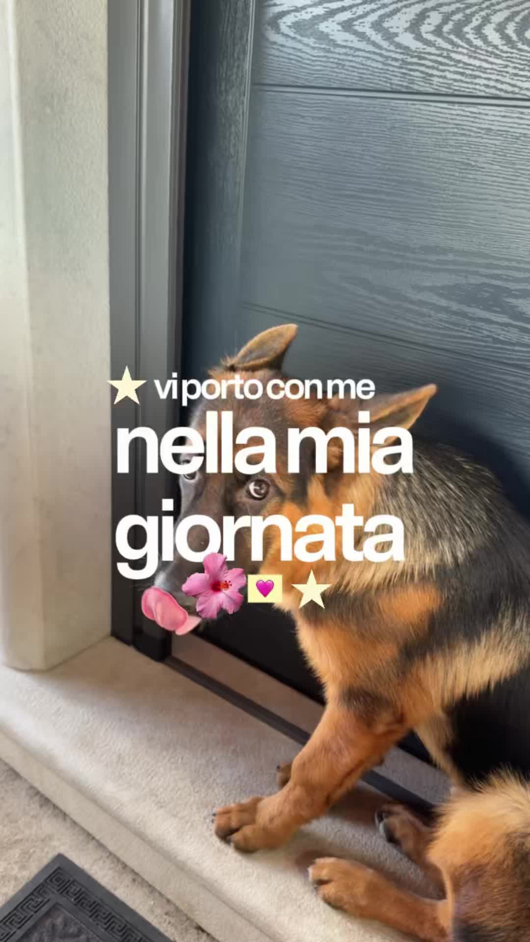 @siriazarro💋