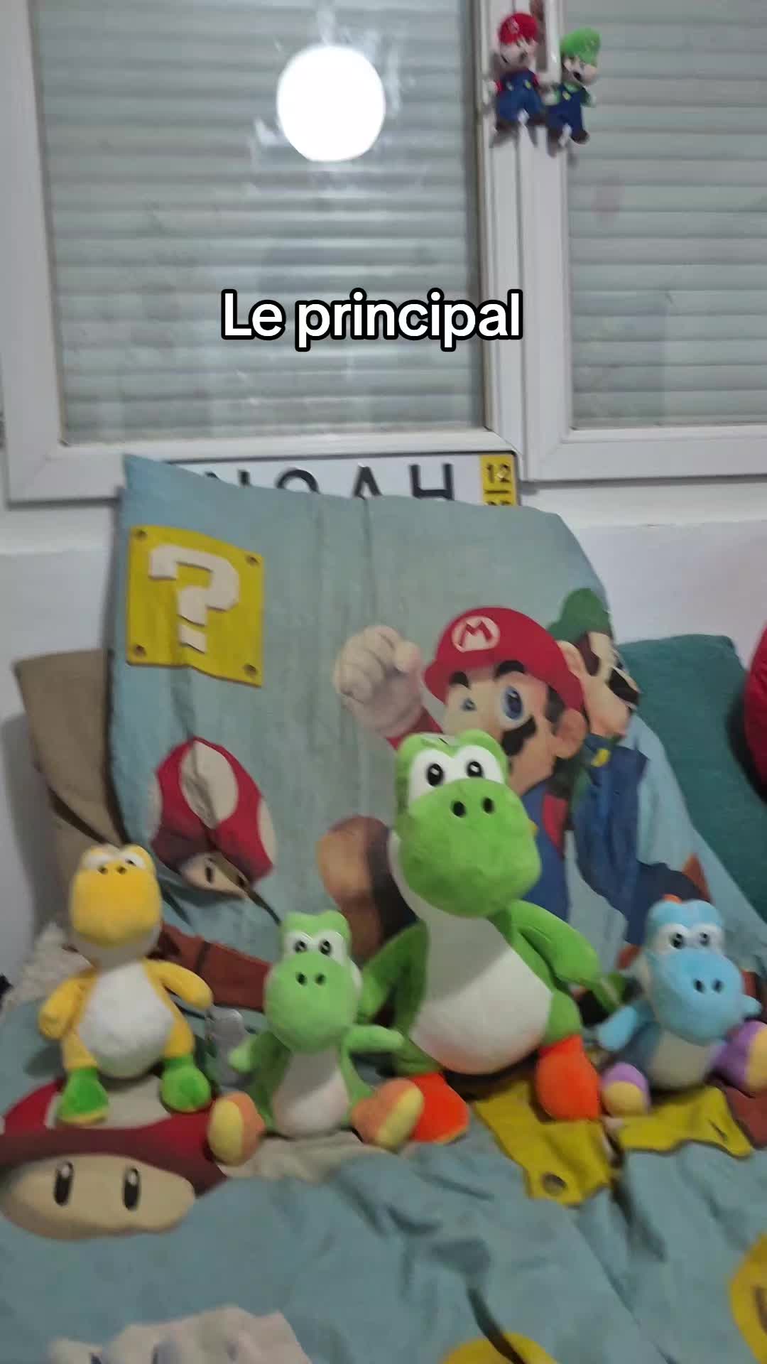 @peluchemario64