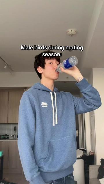 @dilf0nline