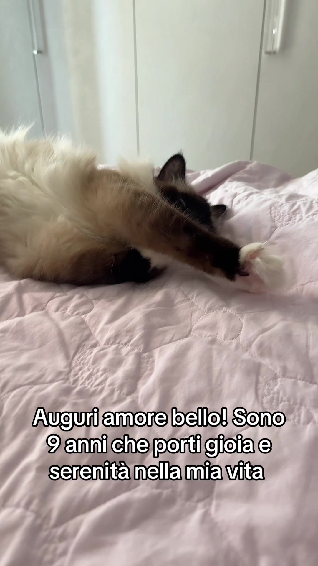 @Cristina Tarantino