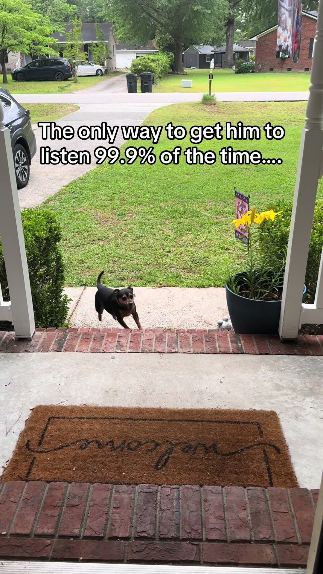 @weldergirl
