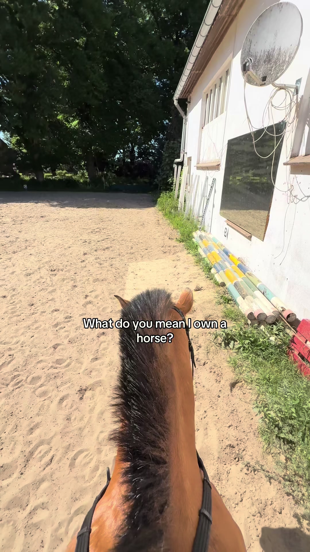 @𝑴𝒂𝒚𝒂
