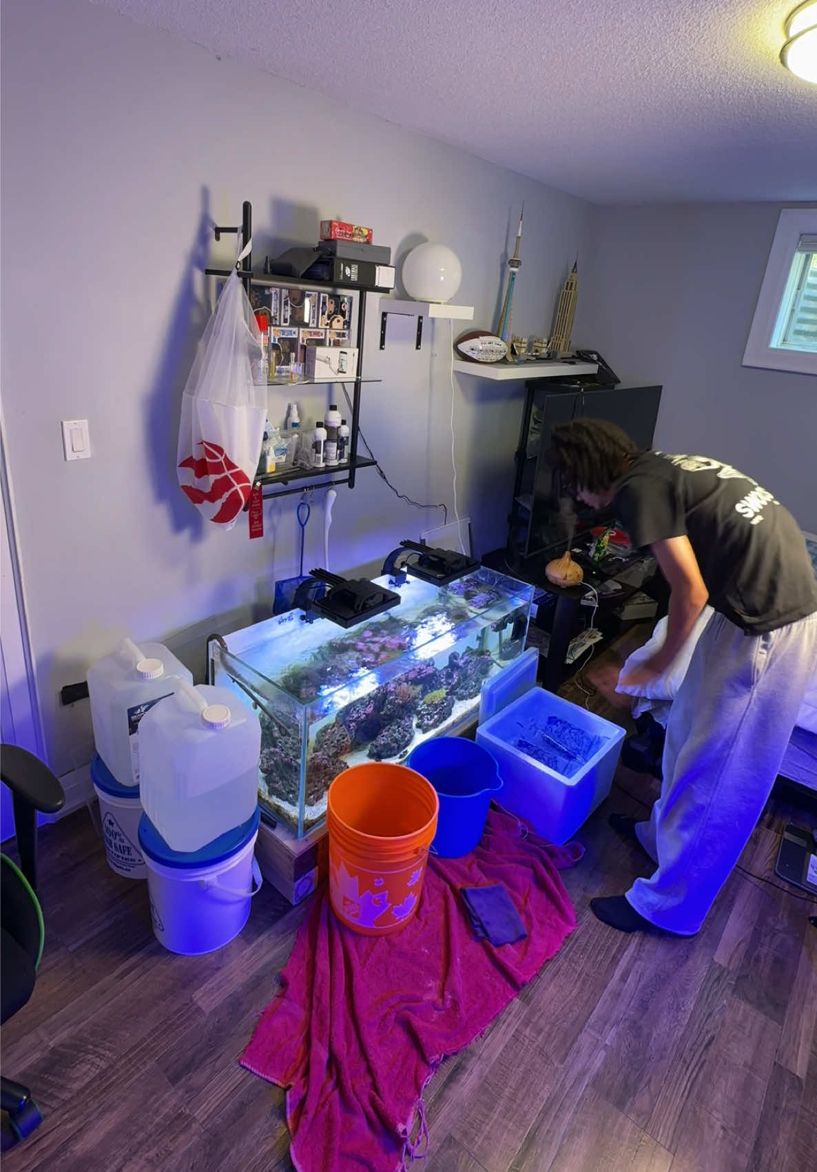 @ReefSync