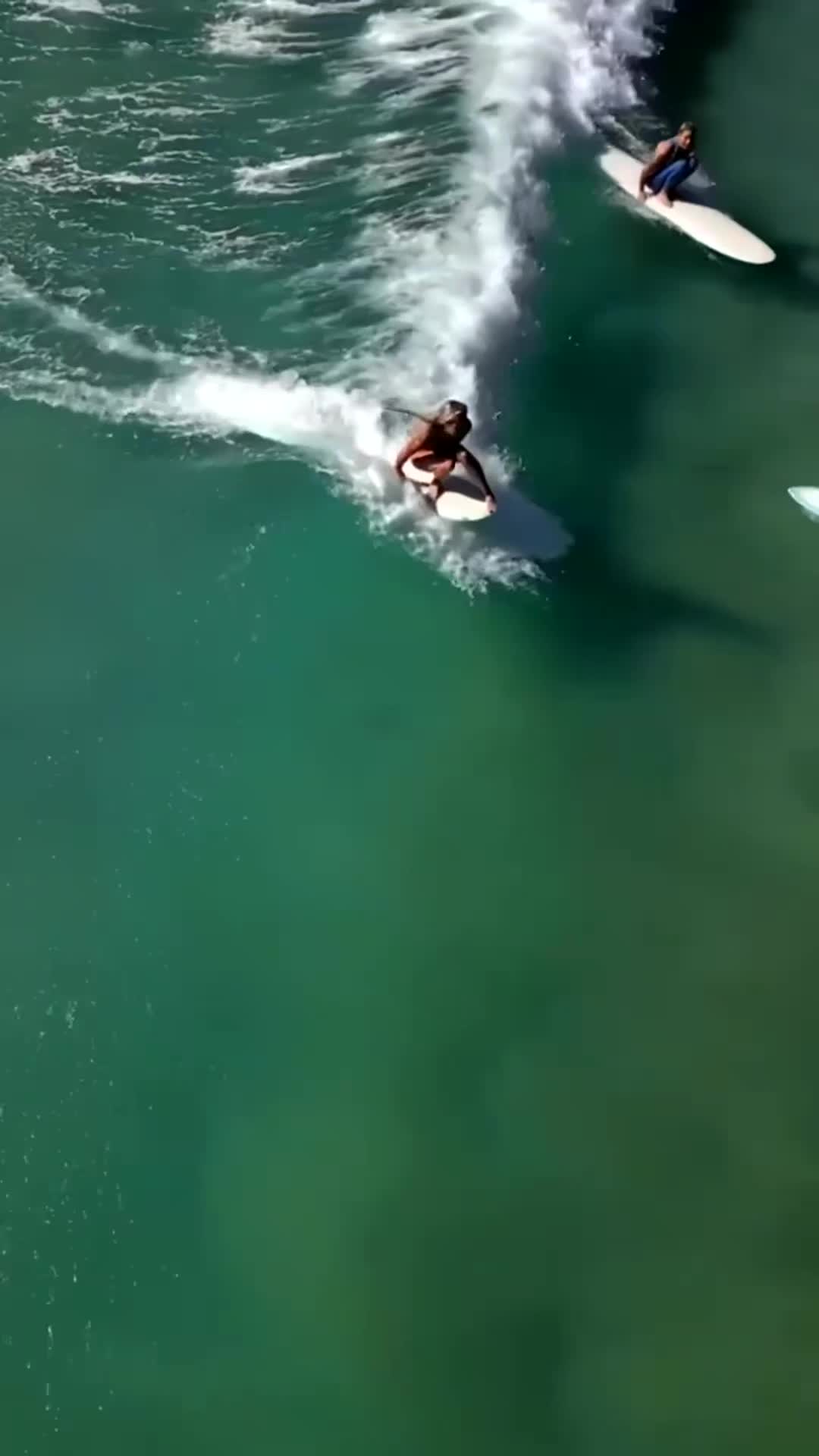 @ryannmadeline65