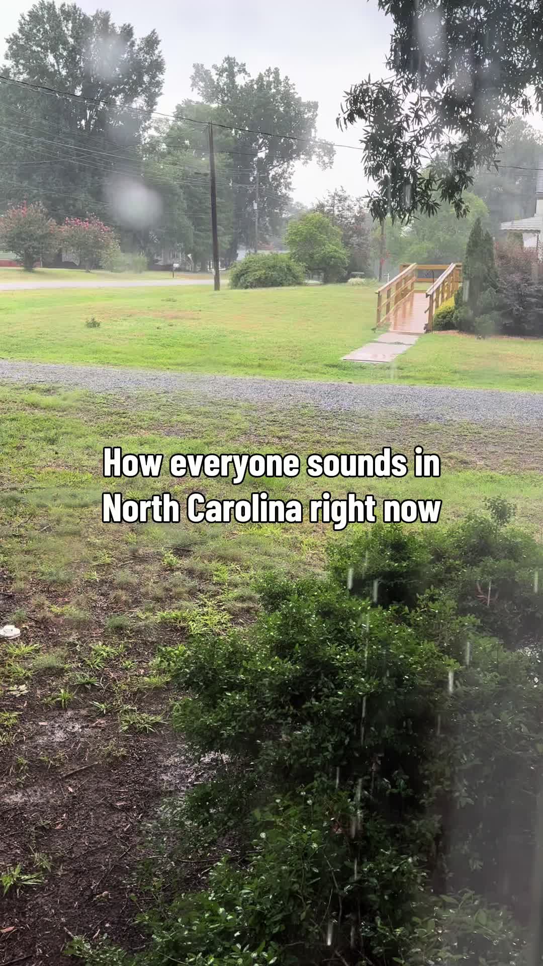 @Savannah Lane🤍