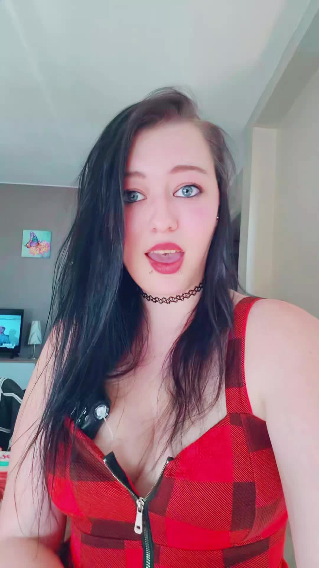 @bvb_spam