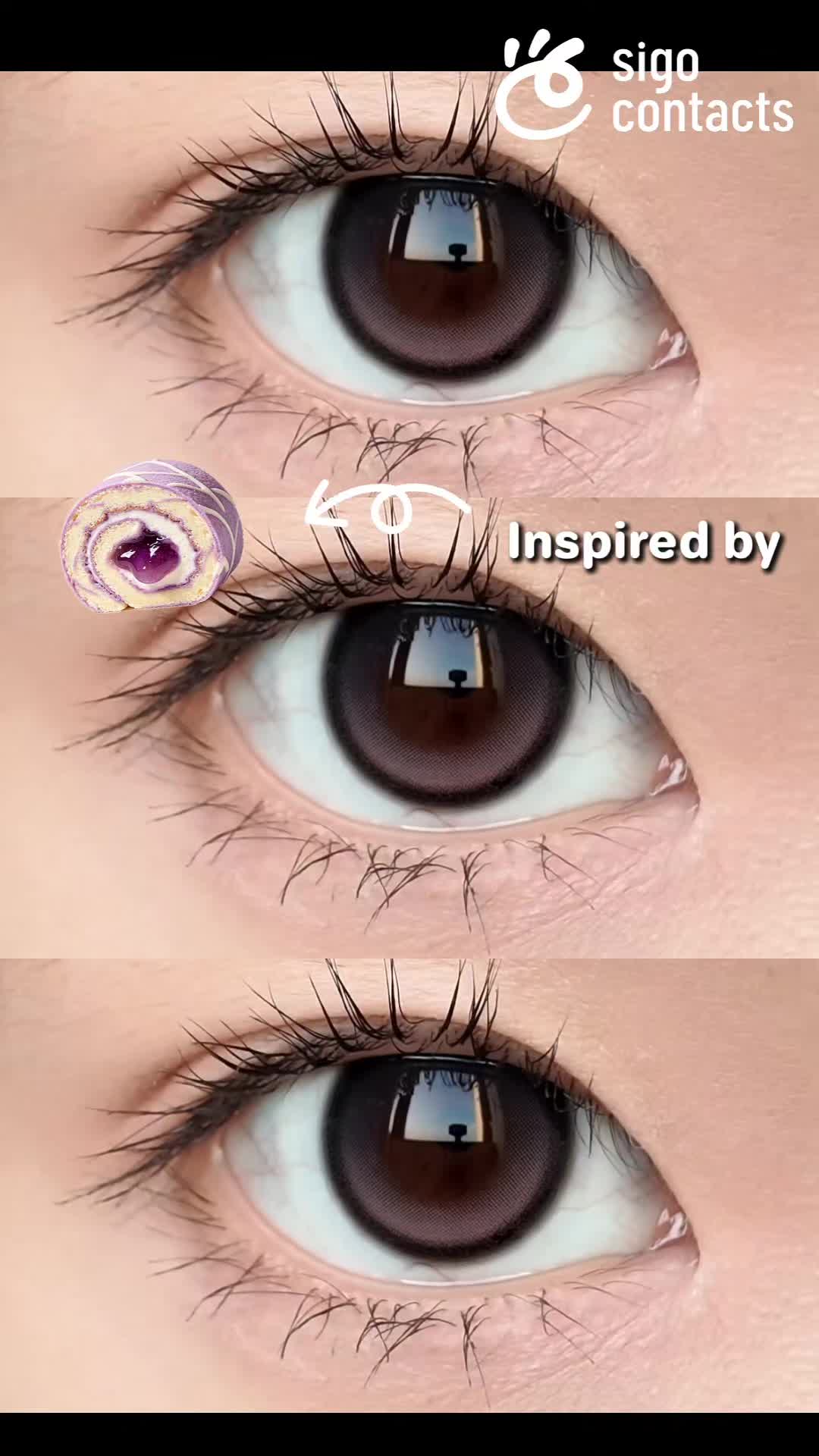 @sigocontacts_official