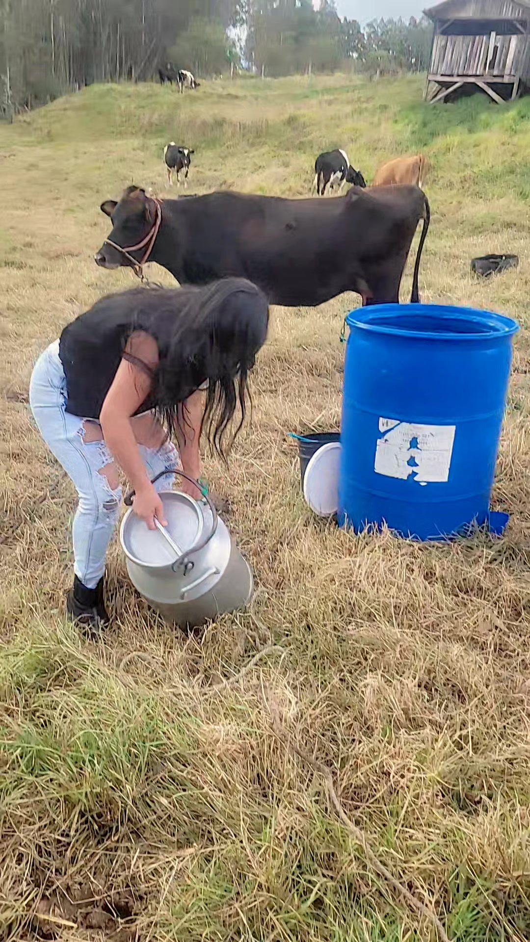 @veronicasarmiento