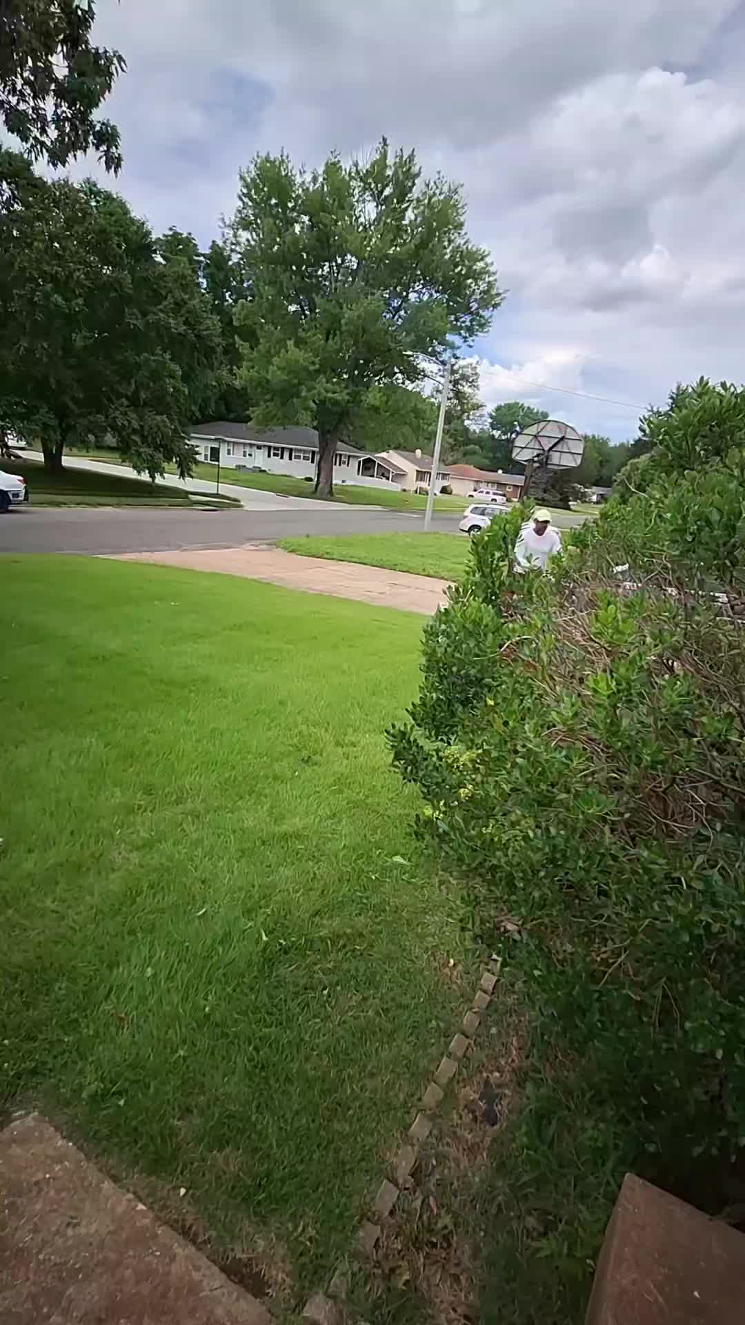 @Stripeleader