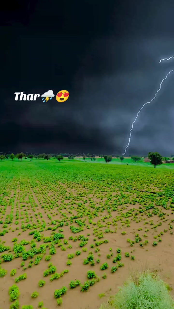 @𝗦𝗶𝗻𝗱𝗵𝗶 🍂༄.°
