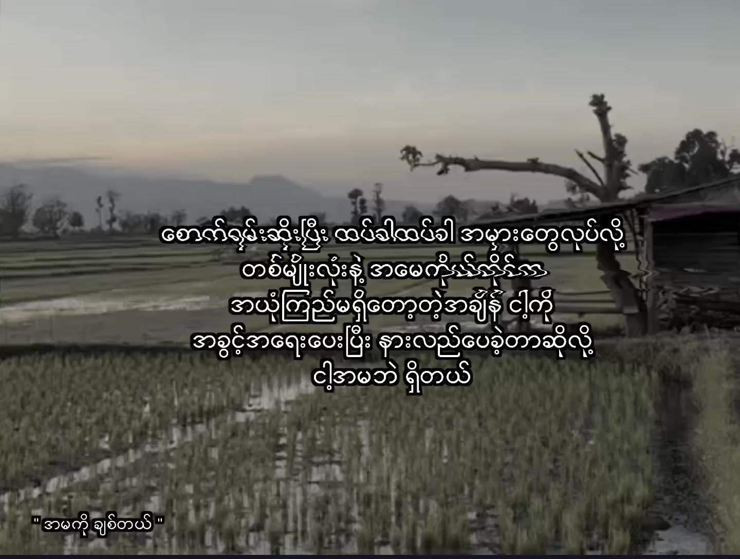 @ᴛᴏxɪᴄ