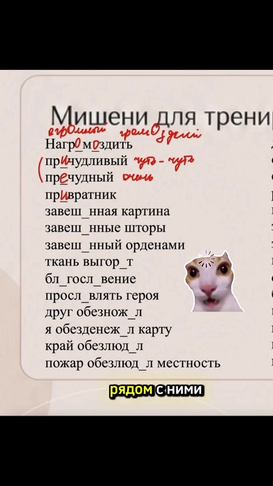 @Репетитор по русскому языку